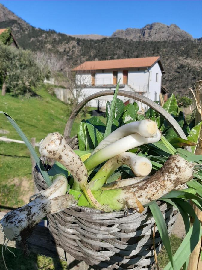 Agriturismo Grilla Villa Меле Екстериор снимка