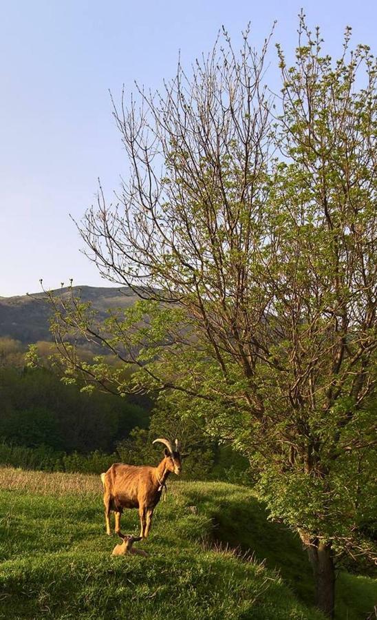 Agriturismo Grilla Villa Меле Екстериор снимка